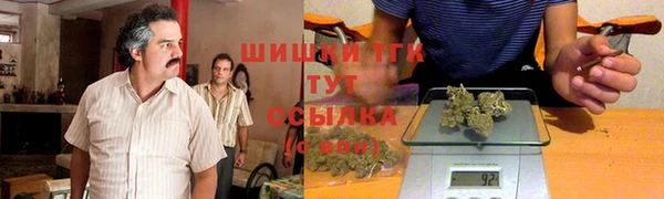 дмт Инта