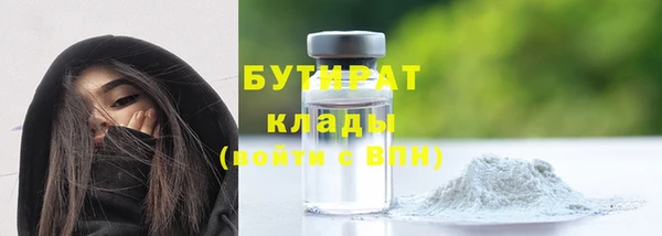 дмт Инта