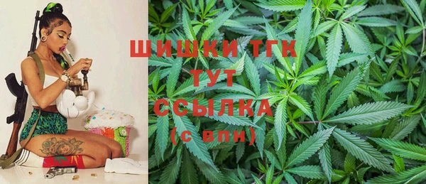 тгк Зеленодольск