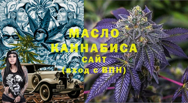 дмт Инта