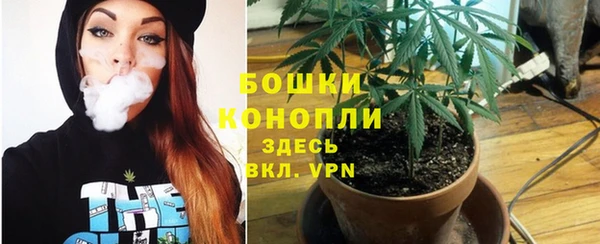 ALPHA-PVP Инсар