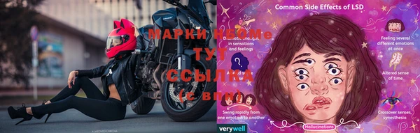 дмт Инта