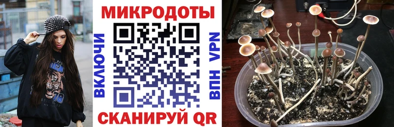 Псилоцибиновые грибы прущие грибы  наркотики  Талица 